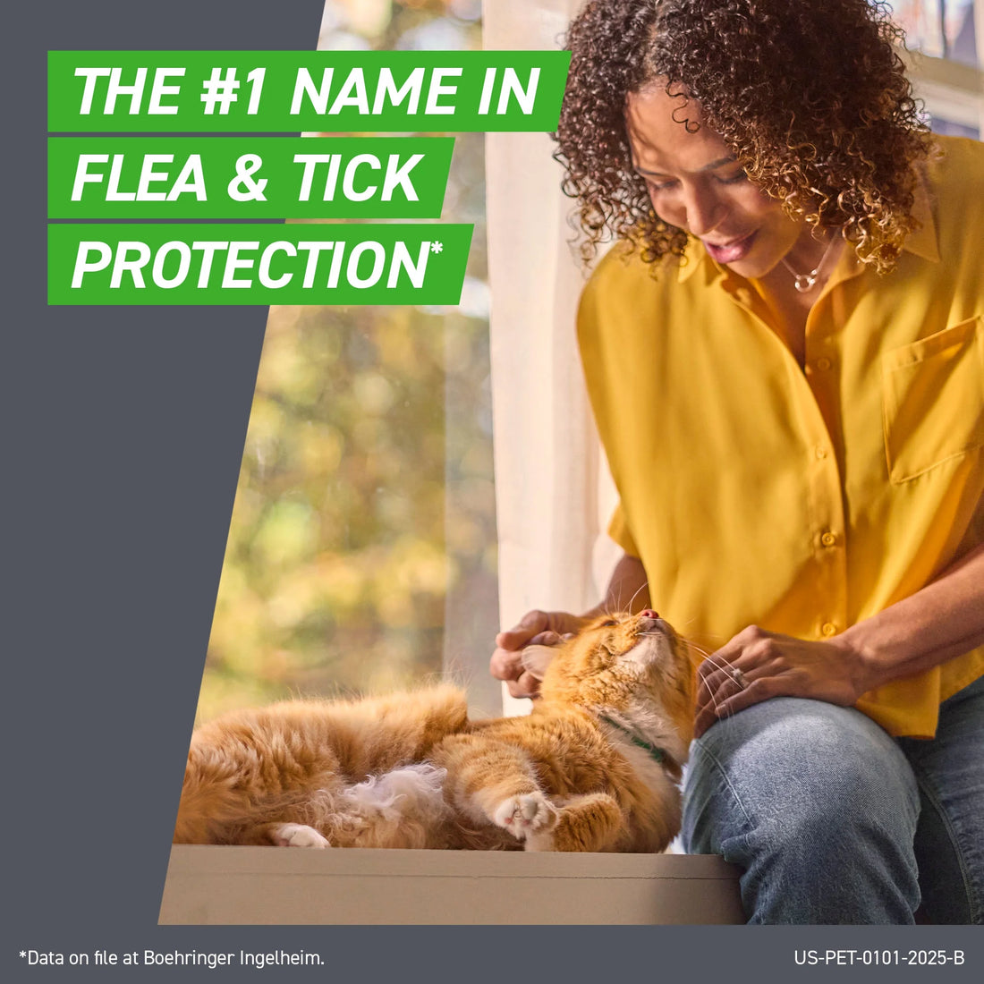 FRONTLINE Plus Flea & Tick Treatment for Cats Over 1.5 lbs | 6-Month Supply (6 Treatments)