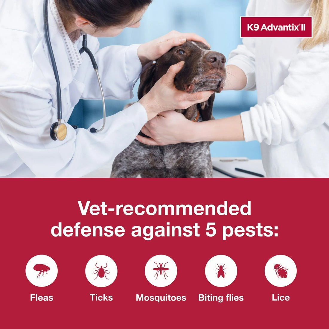 K9 Advantix II XL Flea, Tick & Mosquito Treatment for Dogs Over 55 lbs | Vet Recommended | 6-Month Supply