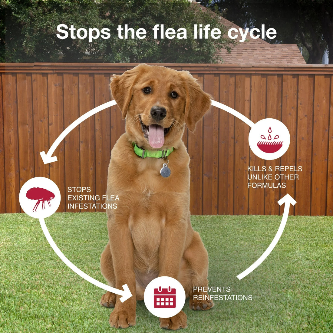 K9 Advantix II Medium Dog Flea, Tick & Mosquito Treatment – Vet Recommended | Dogs 11-20 lbs | 4-Month Supply